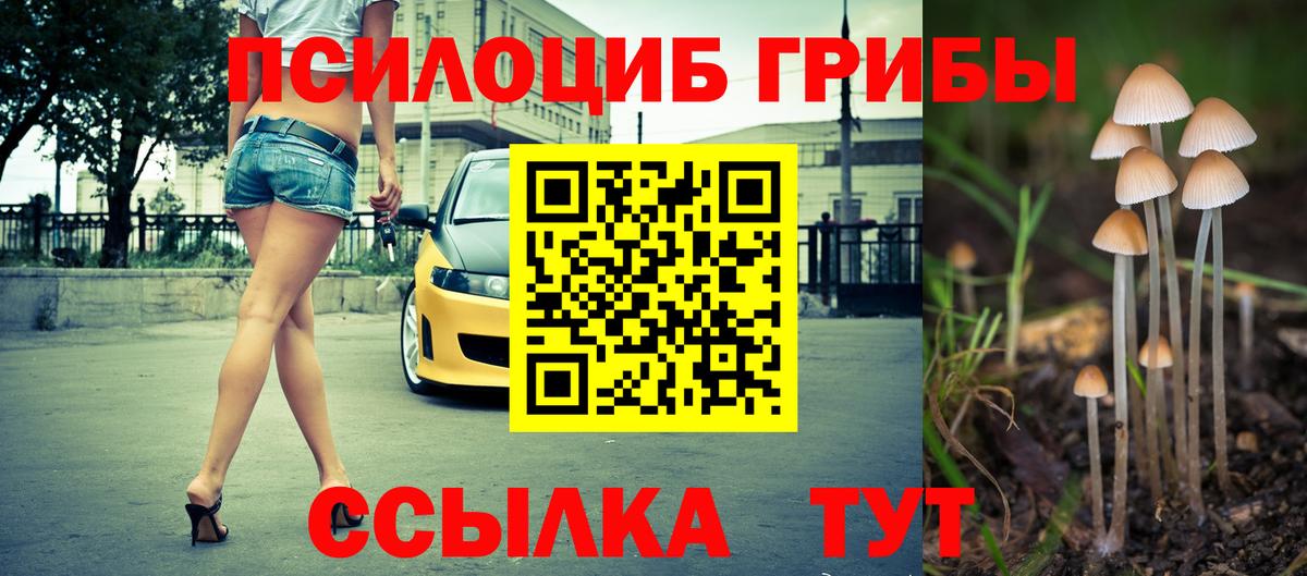Галлюциногенные грибы прущие грибы Стерлитамак