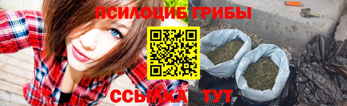 Псилоцибиновые грибы мухоморы  Стерлитамак  купить   Псилоцибиновые грибы мицелий 