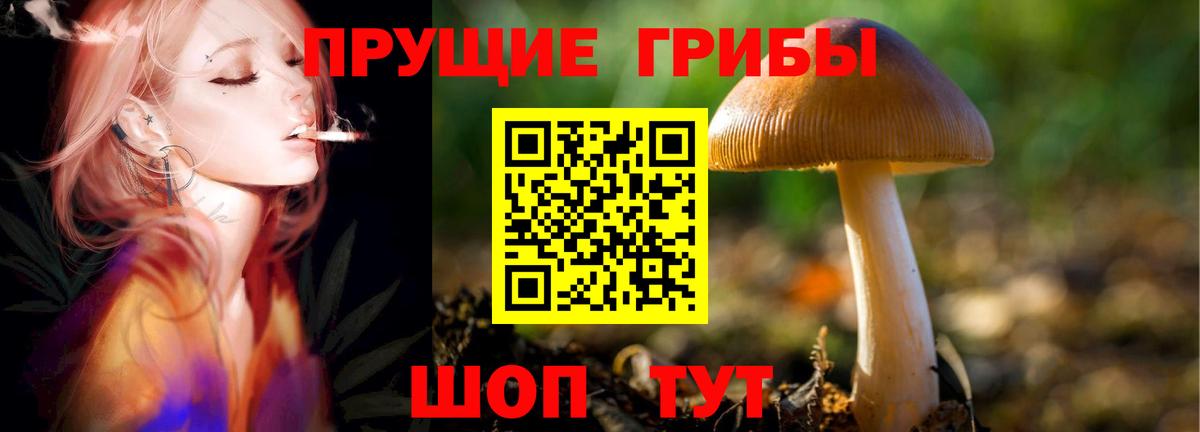 Псилоцибиновые грибы Psilocybine cubensis  Псилоцибиновые грибы Psilocybe  Стерлитамак  Вход с VPN 