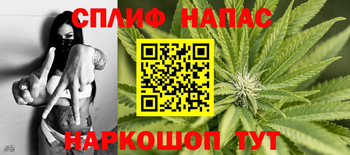 Стерлитамак  Каннабис Amnesia  Бошки Шишки планчик  Вход с VPN  Шишки марихуана тримм 